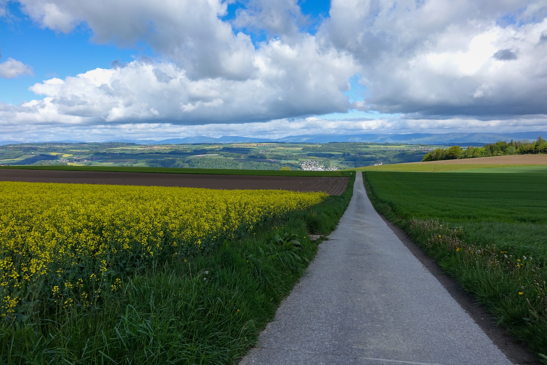 La suite de Romont à Moudon