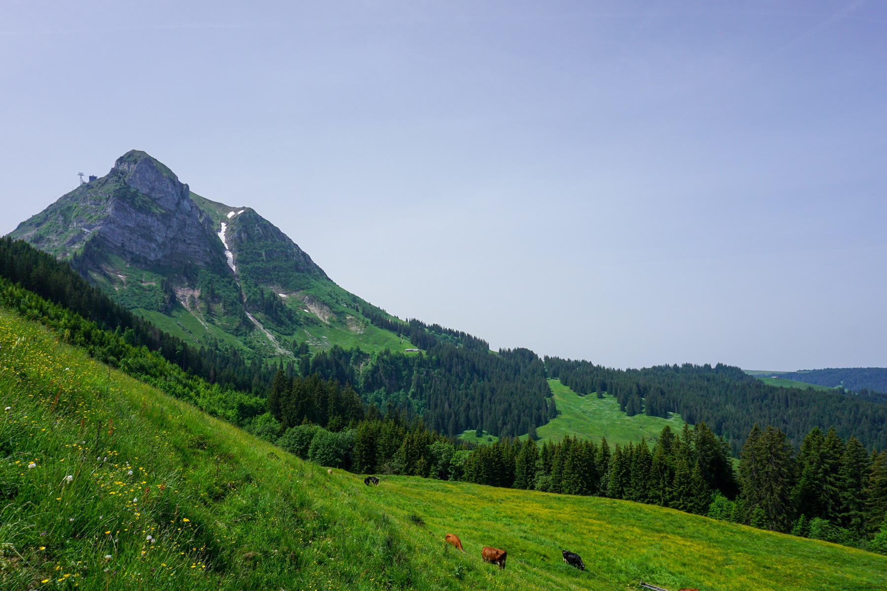 Arrivée en Gruyère