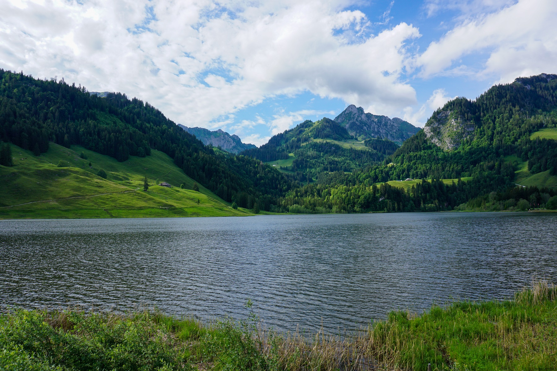 Du Lac Noir au Guggisberg