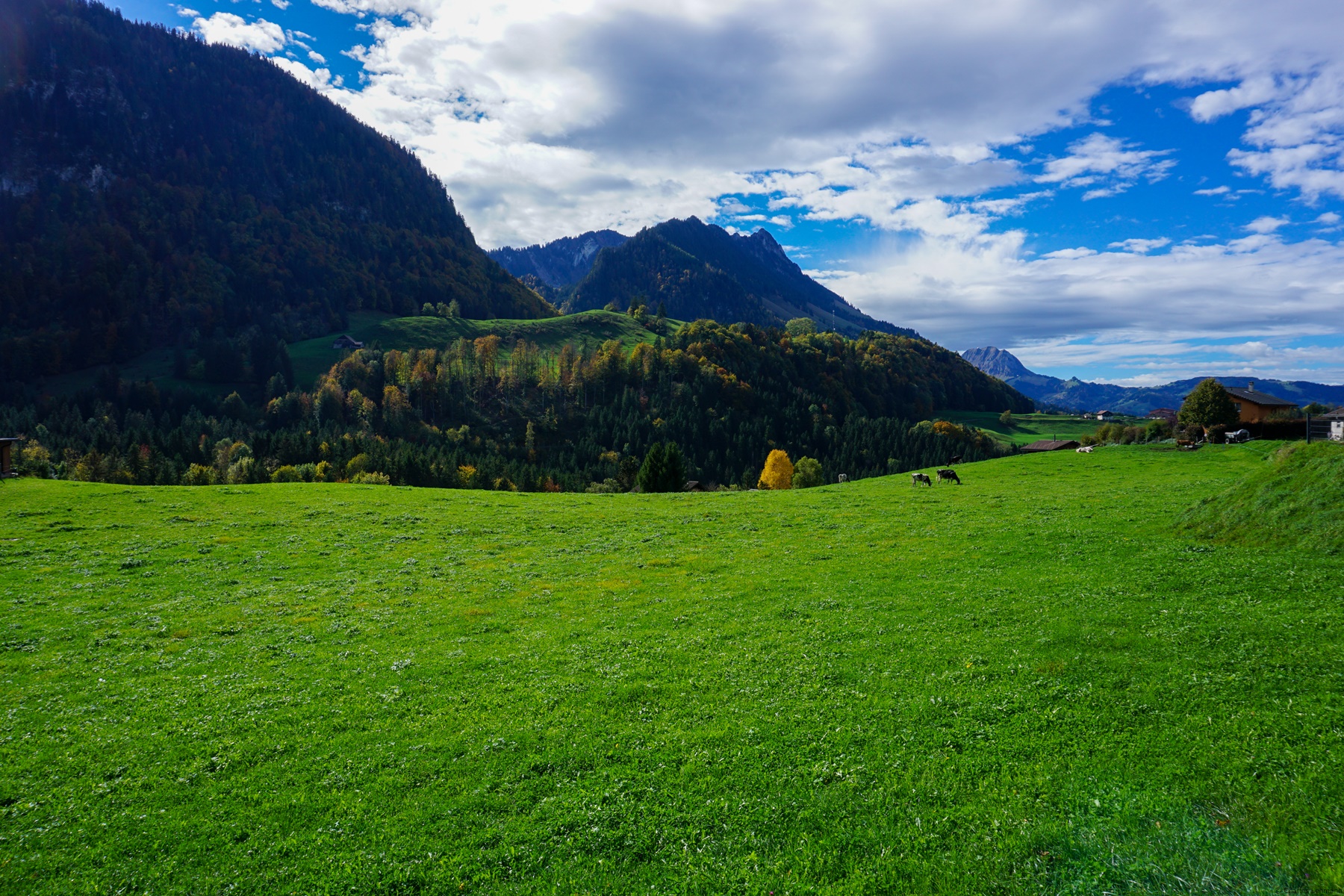 Les Gorges de la Jogne