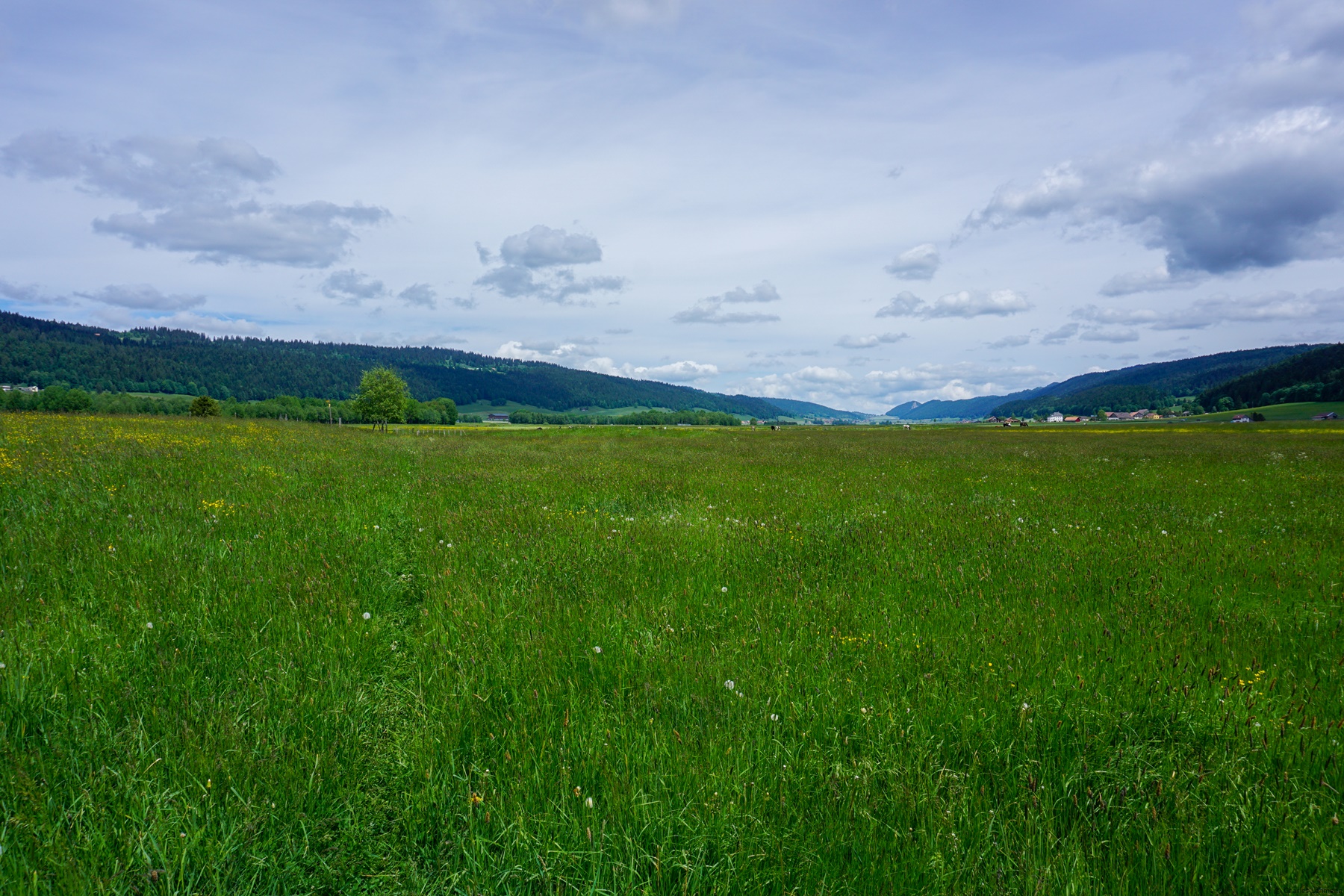 De Chambrelien aux Ponts-de-Martel
