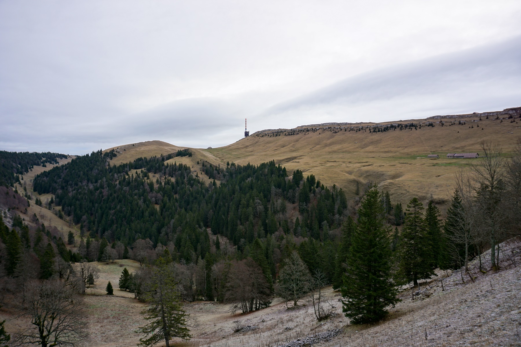 The Chasseral from Savagnières