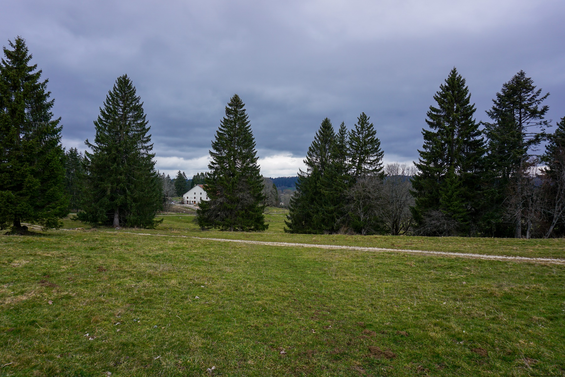 Mont-Soleil-Windturbinen