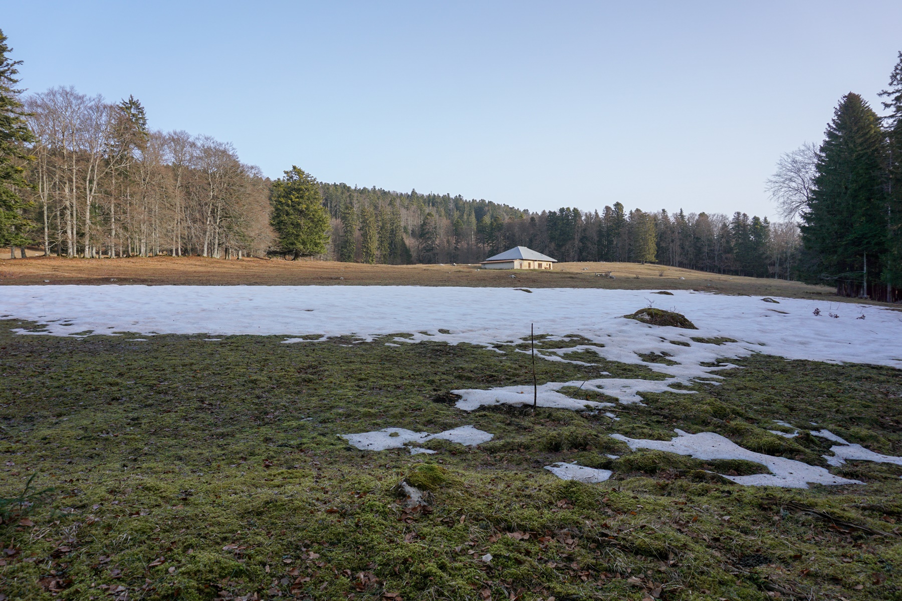 Le Crêt de la Neuve depuis Marchissy