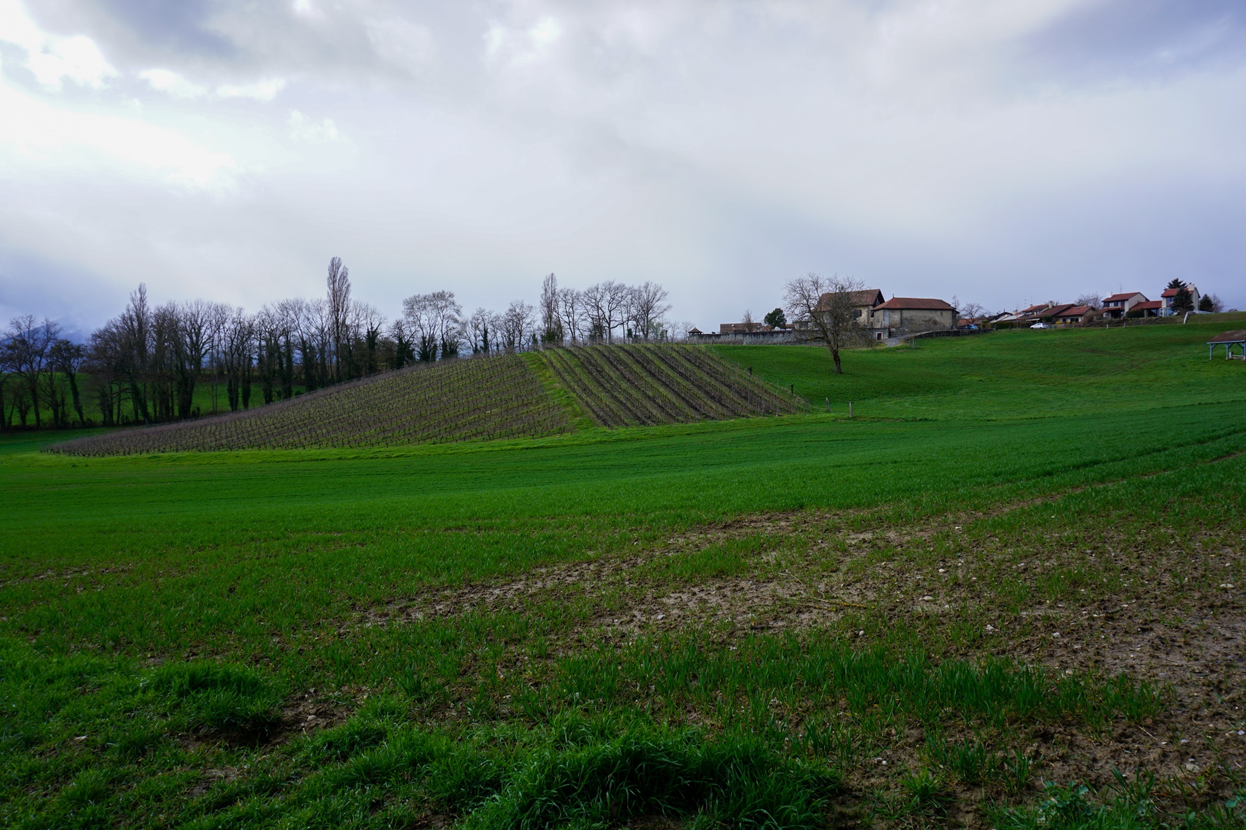 Par-dessus la frontière à Sézegnin