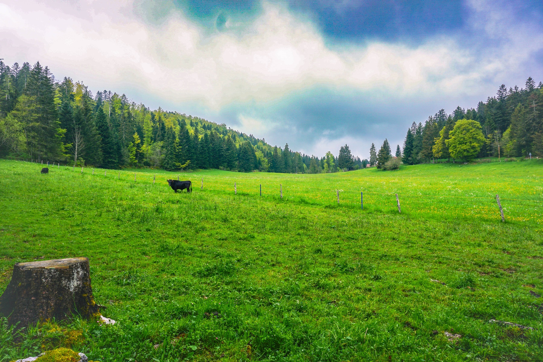 The boundary path of Meix Musy