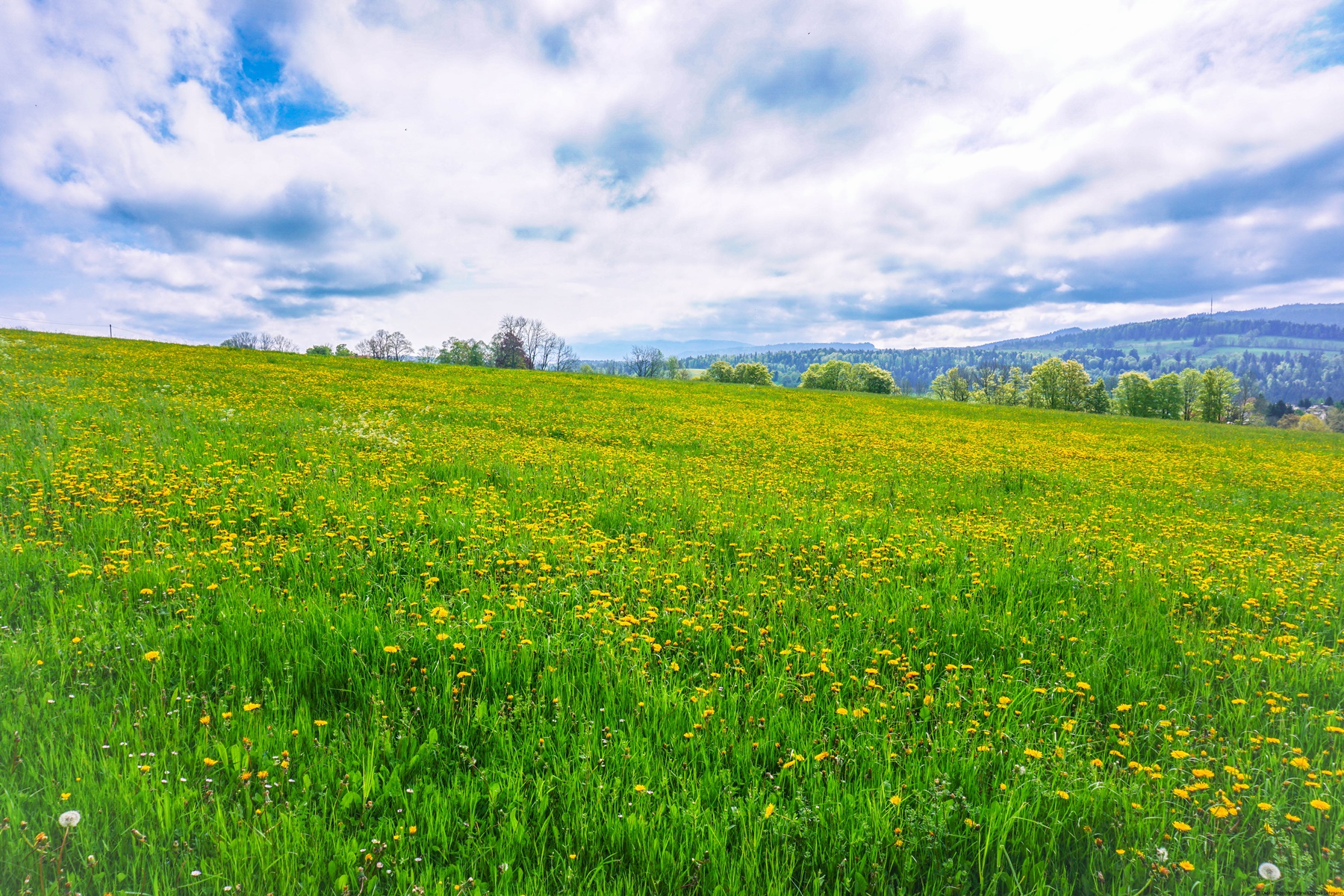 La Roche Plate and the Doubs
