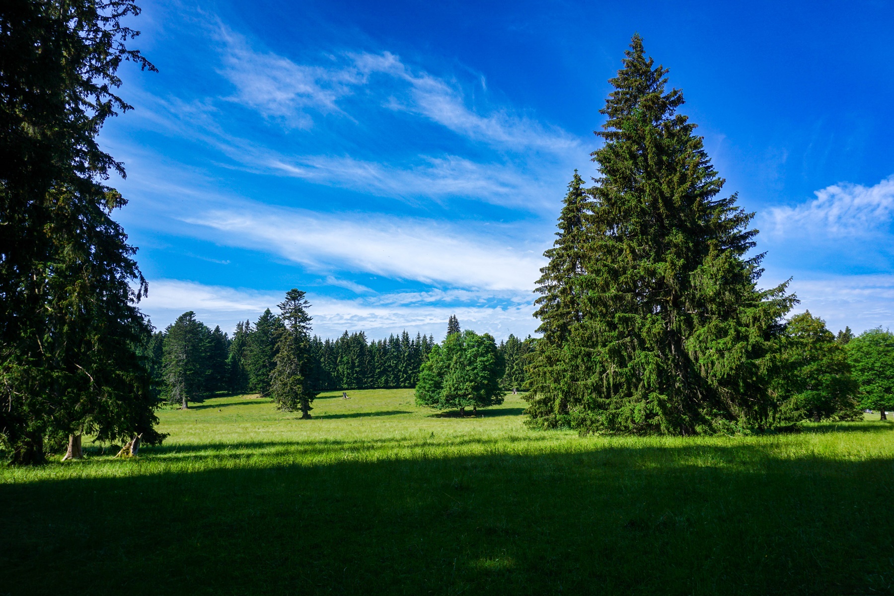 Auf der Via Berna von Tramelan nach Saint-Imier
