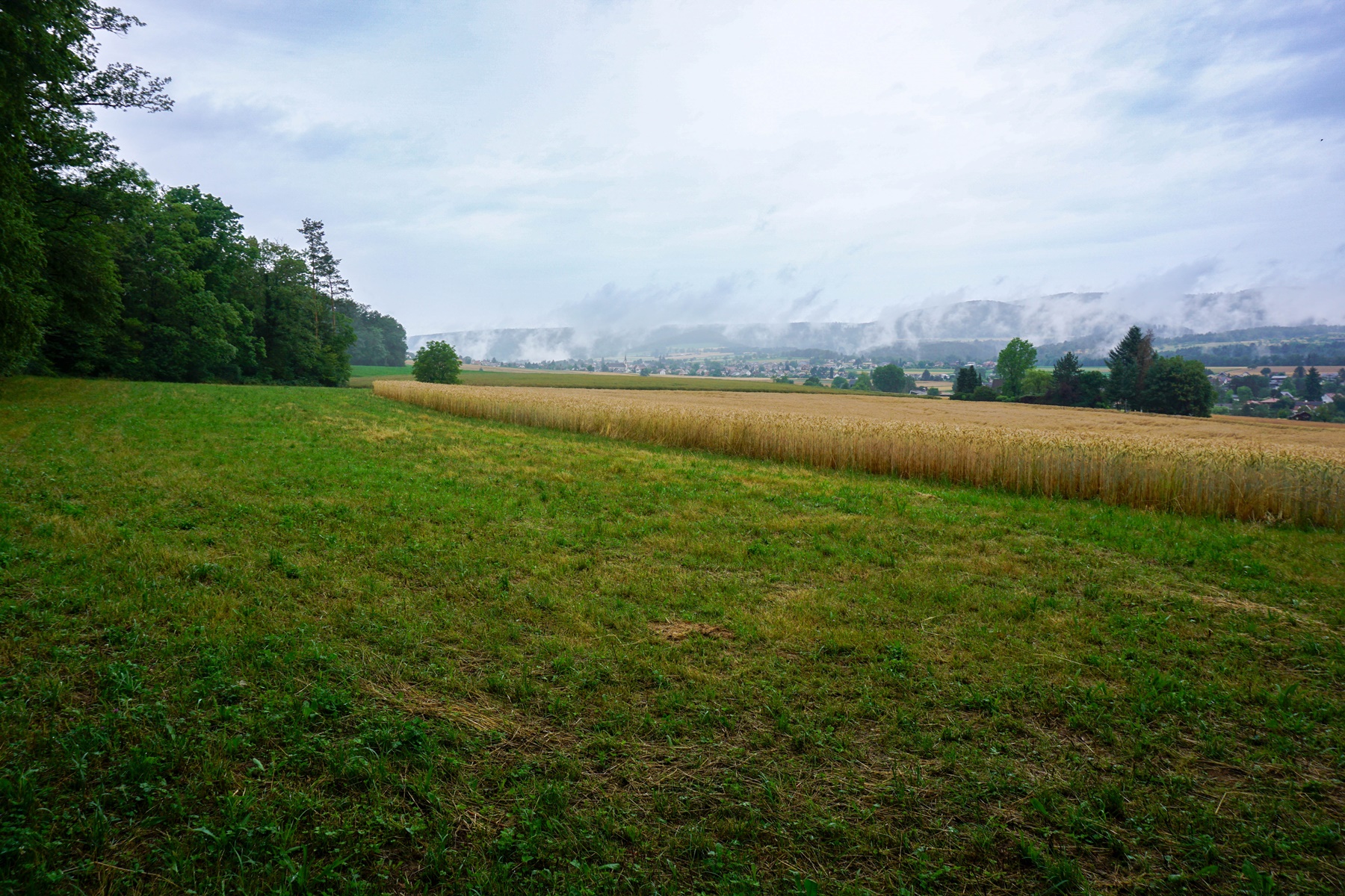 Auf der Via Jura zwischen Laufen und Delémont