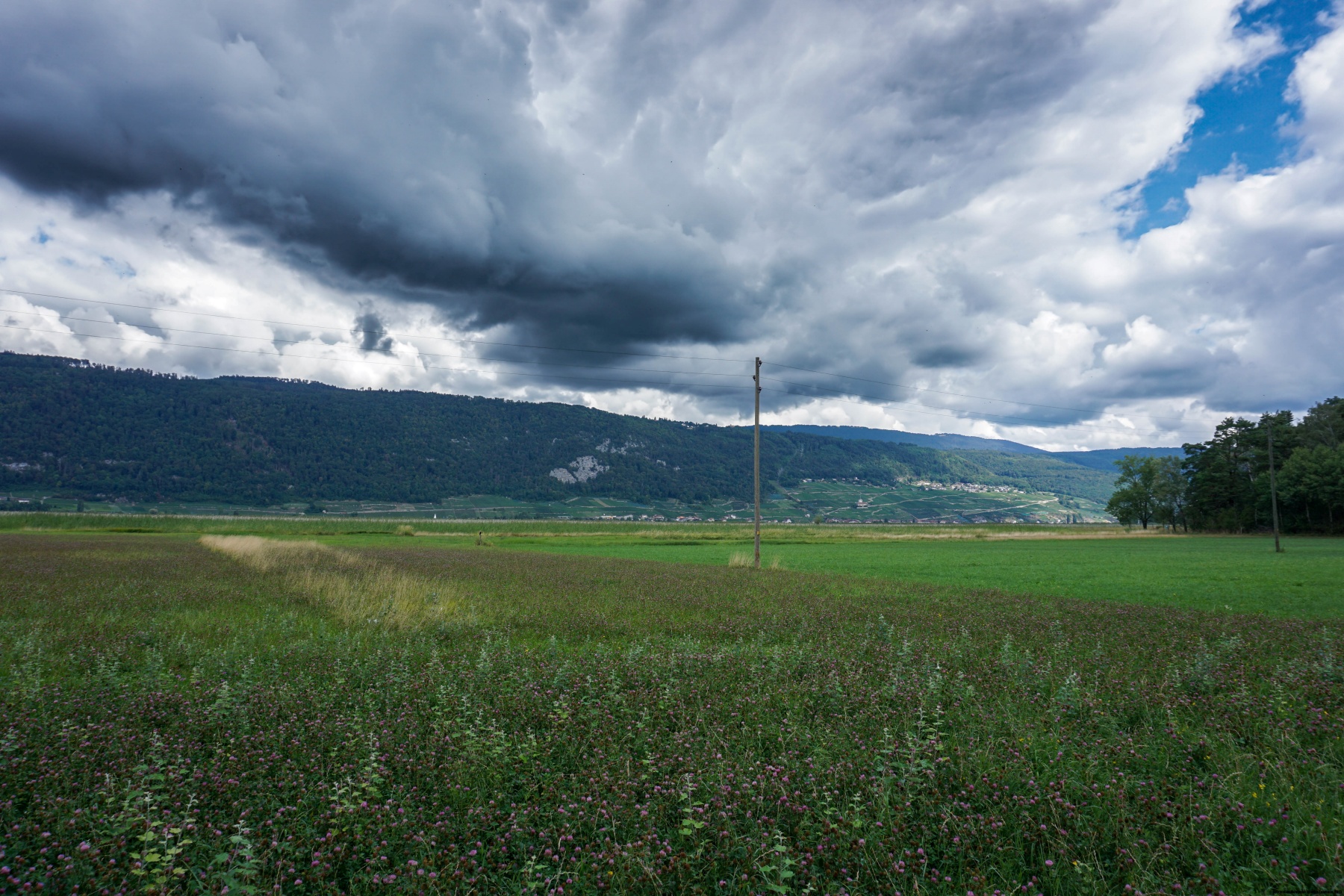 L’Île Saint-Pierre