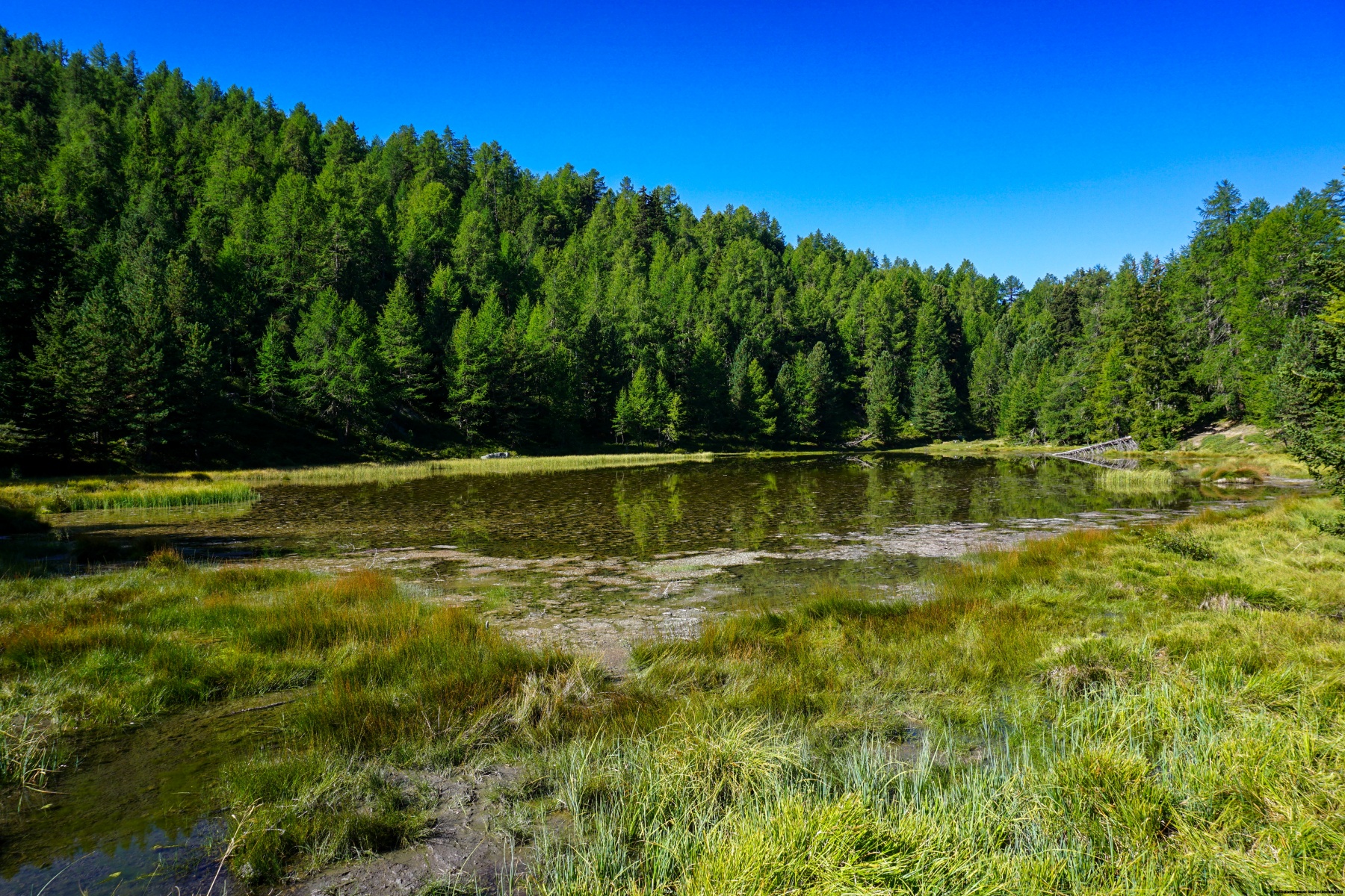 Le sentier panoramique de la Moosalp