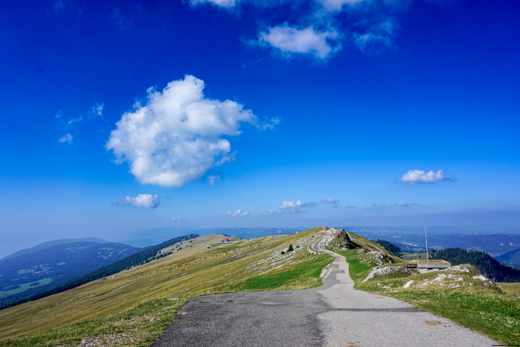 Überquerung des Chasseral von Saint-Imier nach La Neuveville