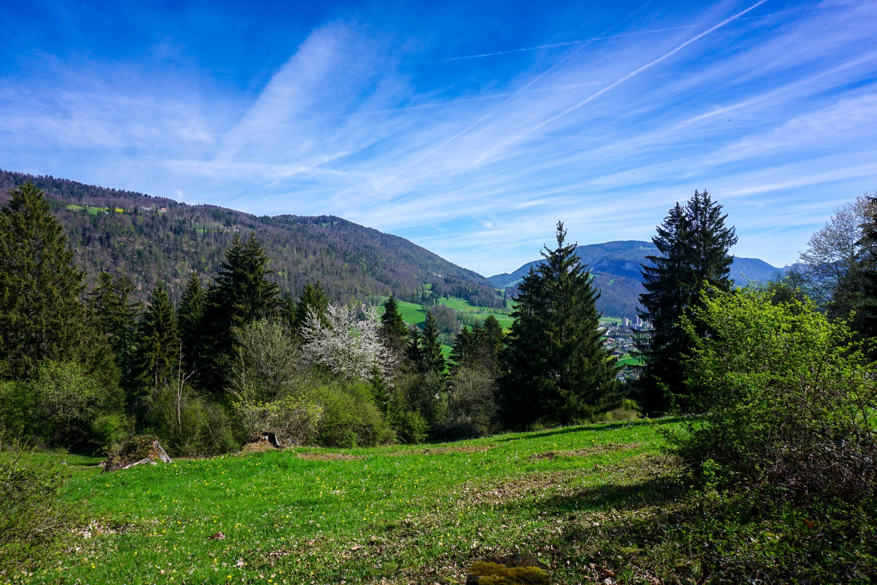 Die Perrefitte-Schlucht