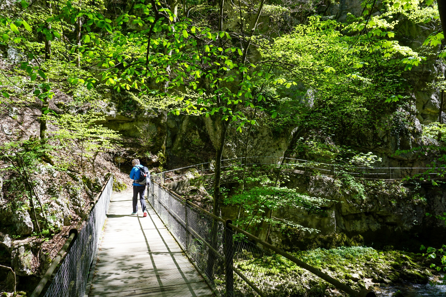 Die Taubenloch-Schlucht