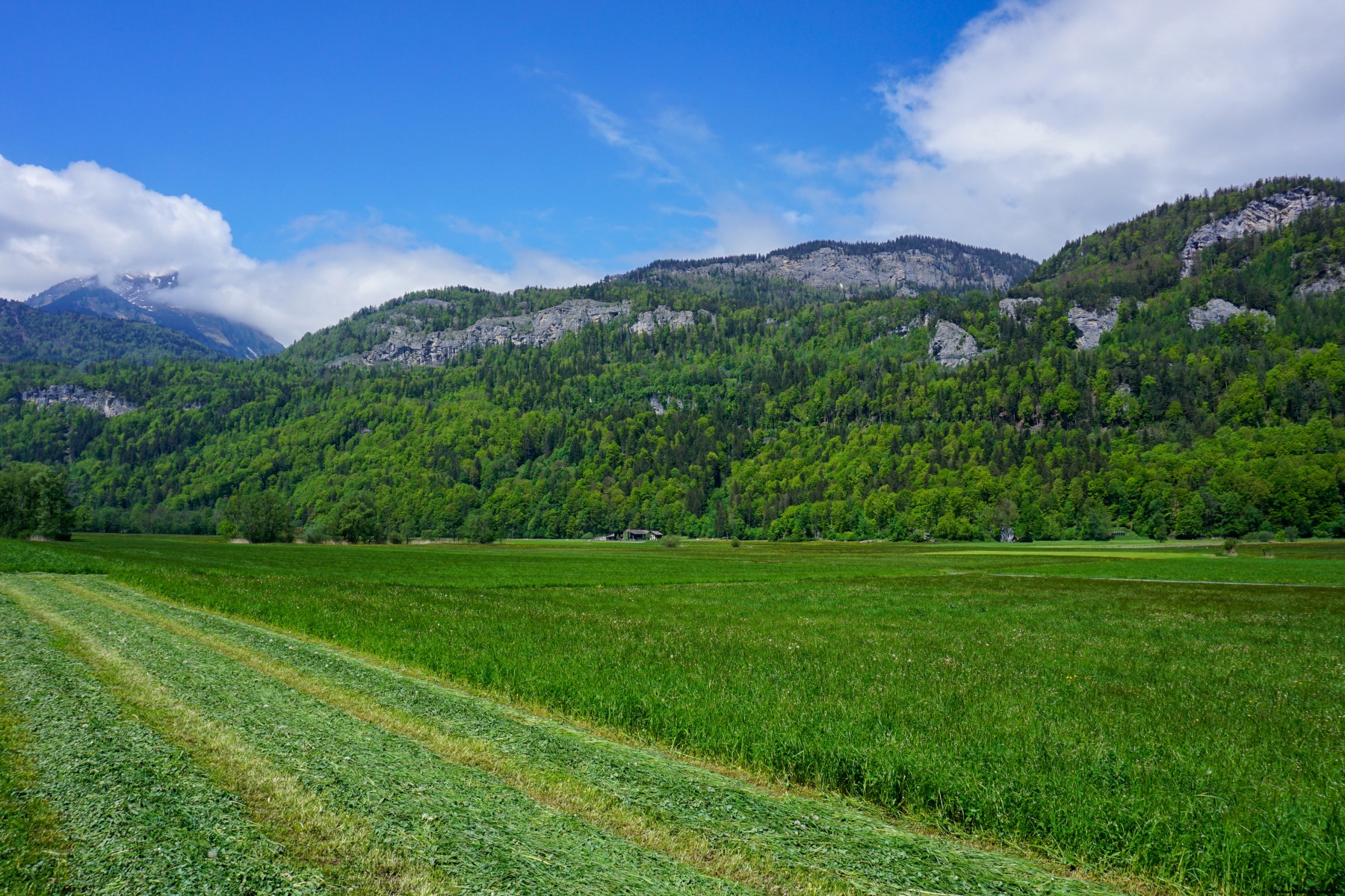 Crossing the Brünig on foot