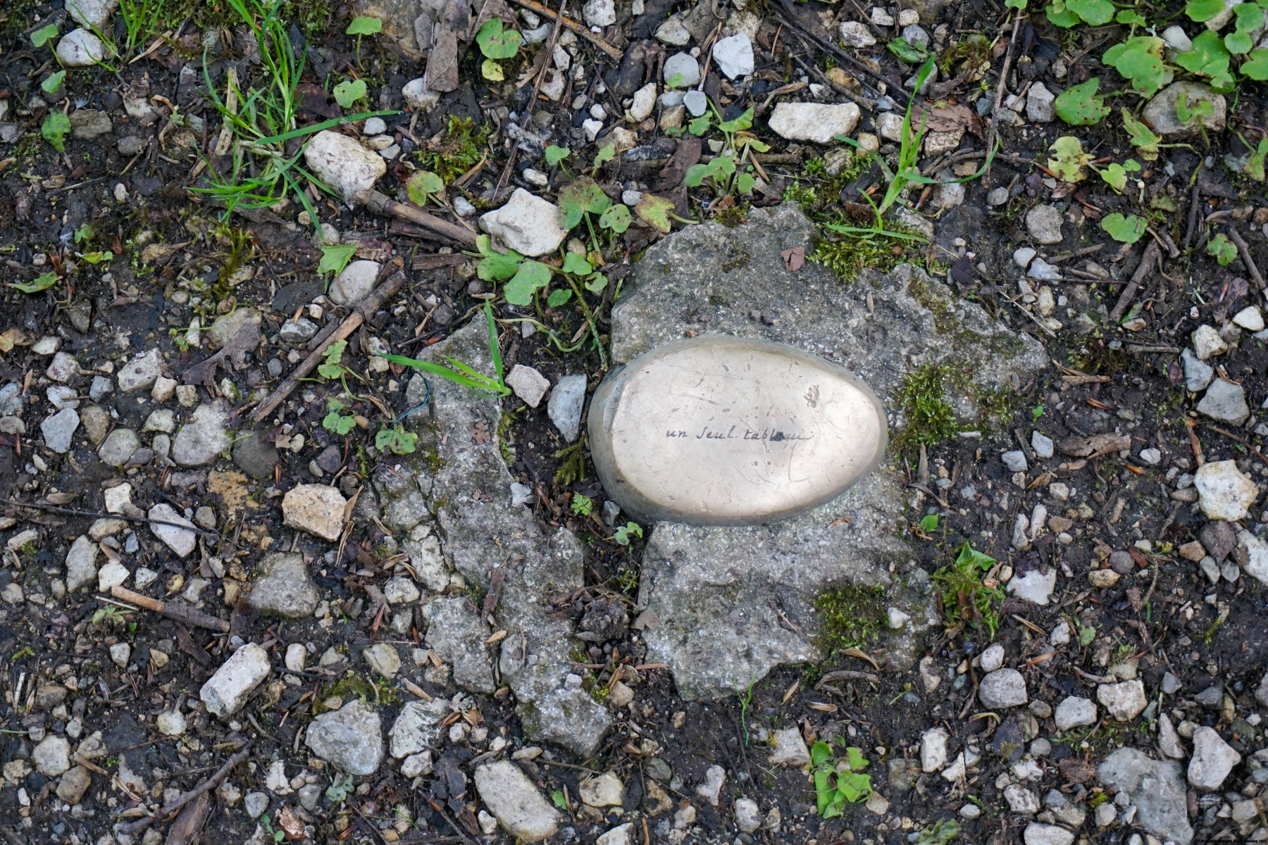 Der Wasserfall von Môtiers