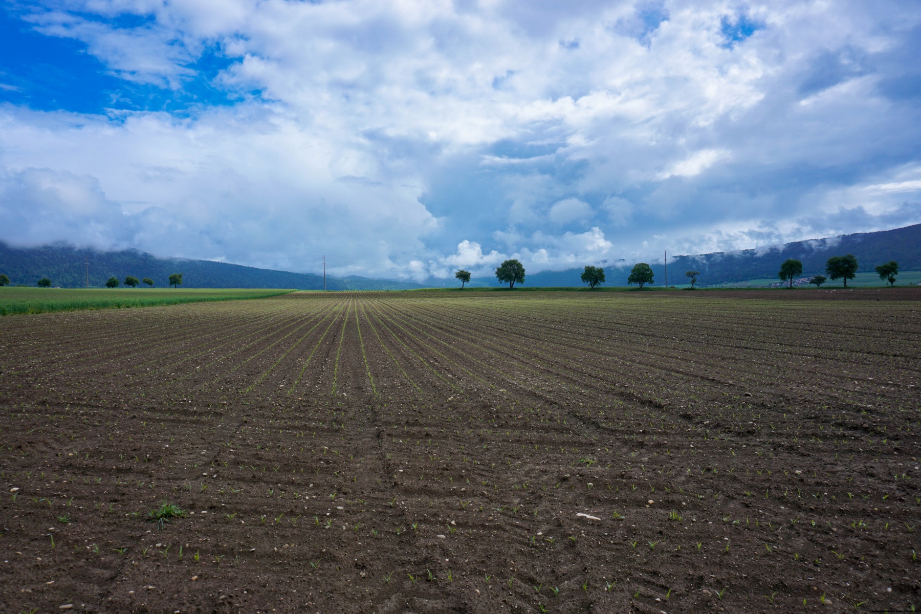 Un bout de la Voie Révolutionnaire
