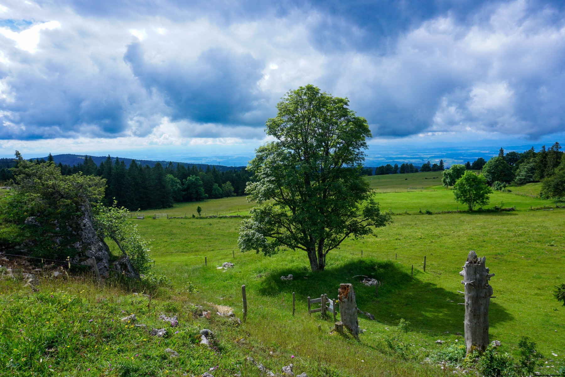 Montoz and Pierre Pertuis