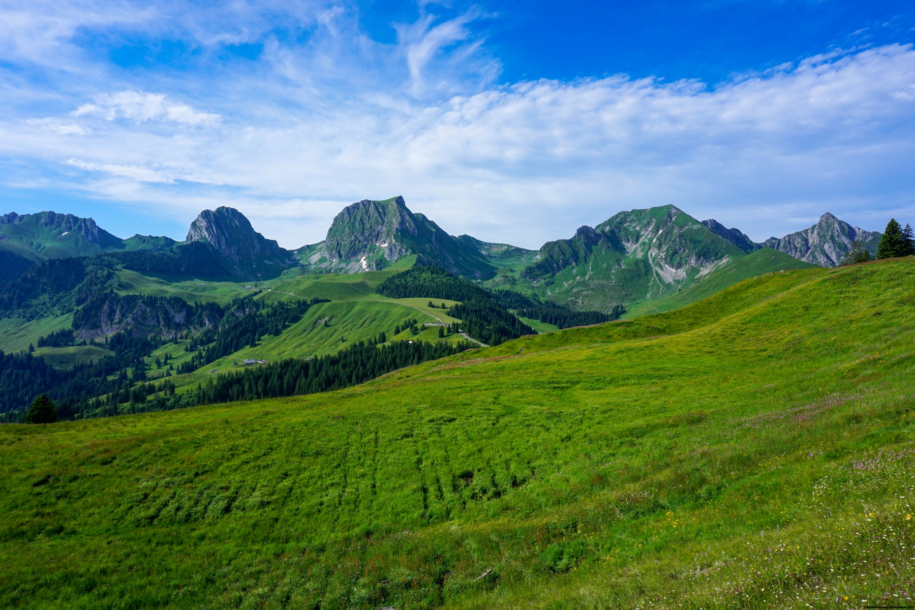 Another day on the Gantrisch panoramic trail