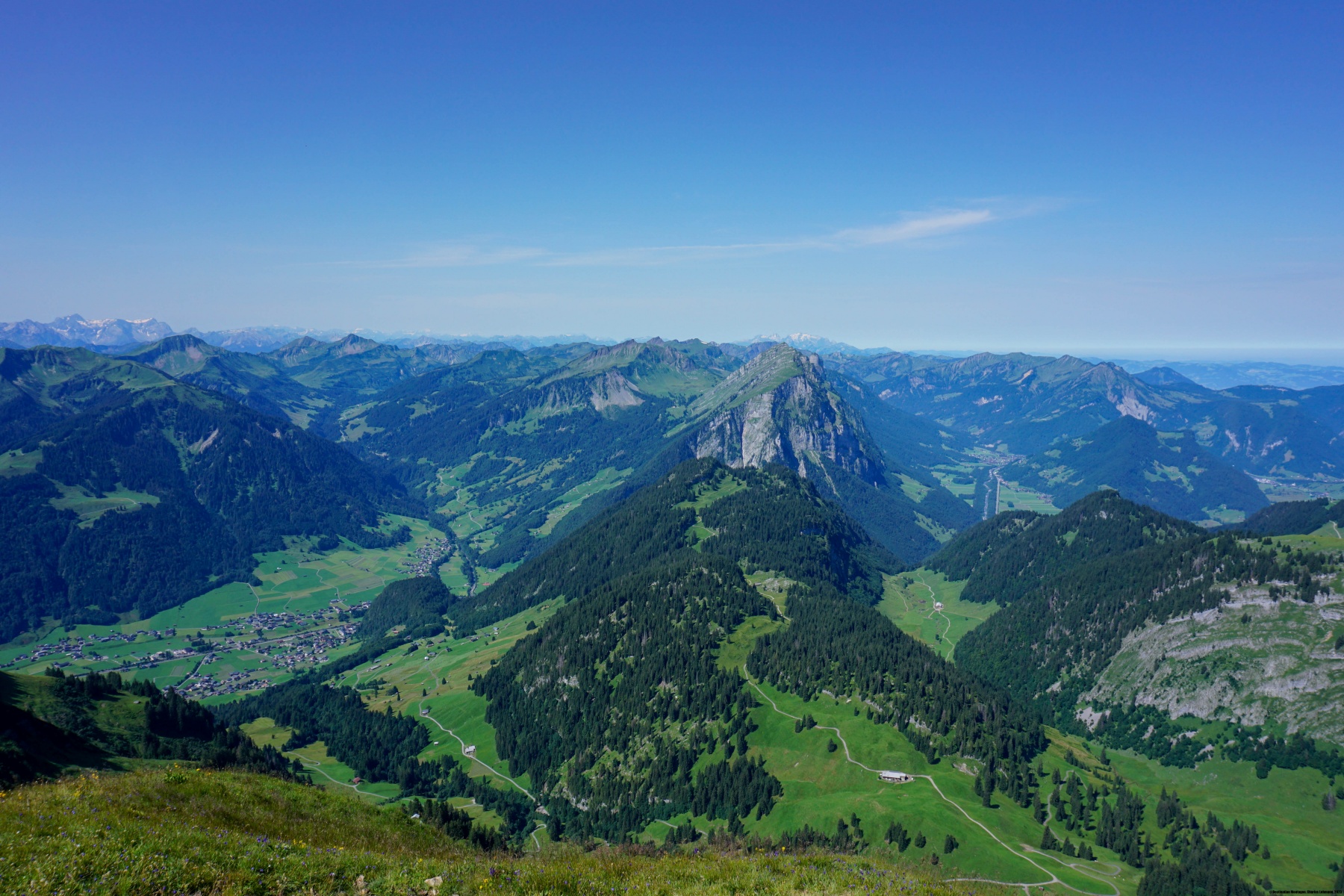 Diedamskopf and Falzerkopf