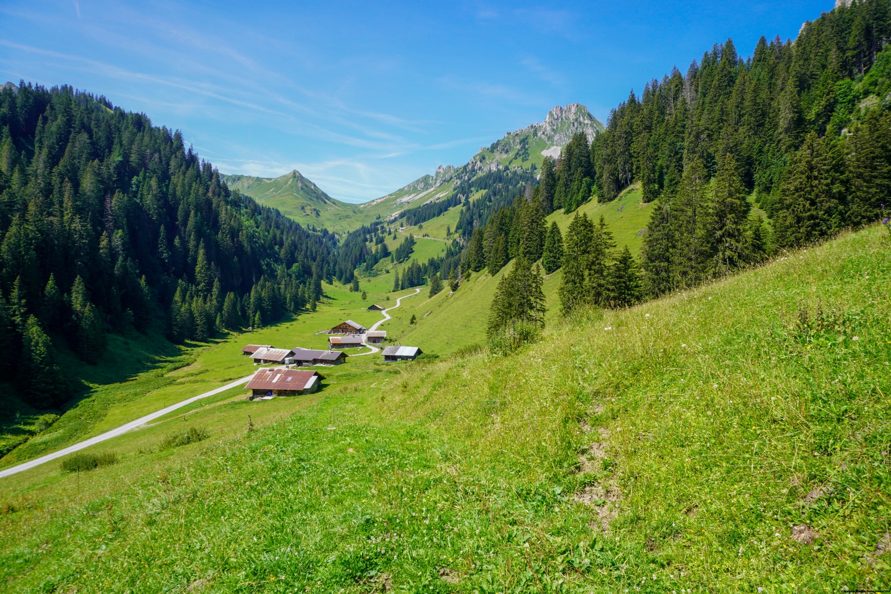 Climbing the Bürglegrat
