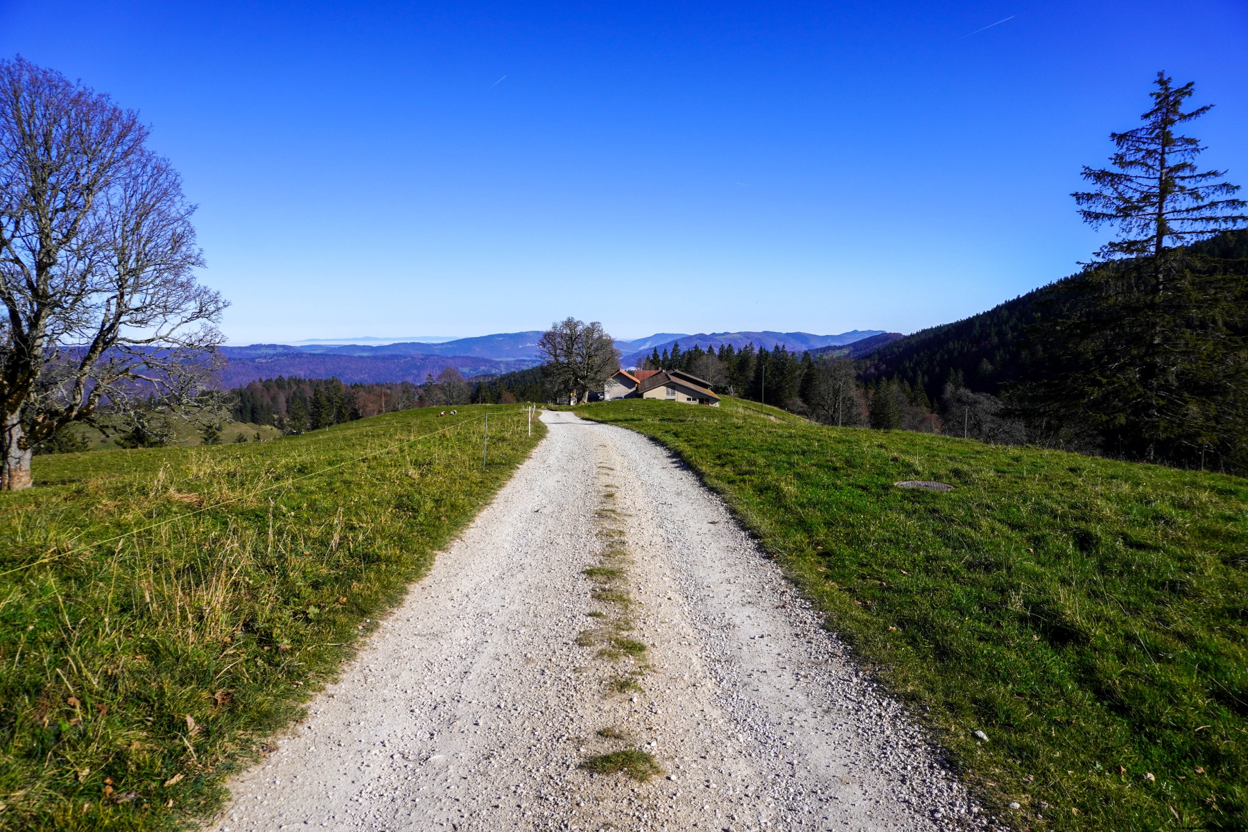 Chemin de Chasseral