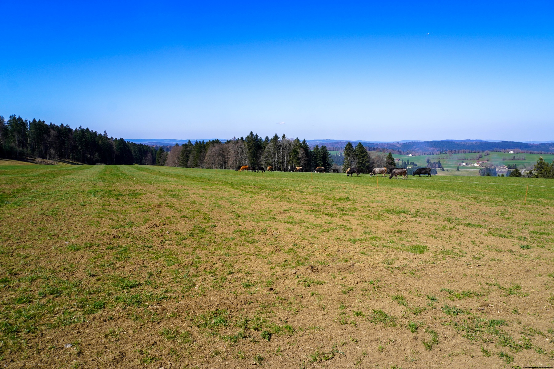 Von Noirmont zum Mont Soleil