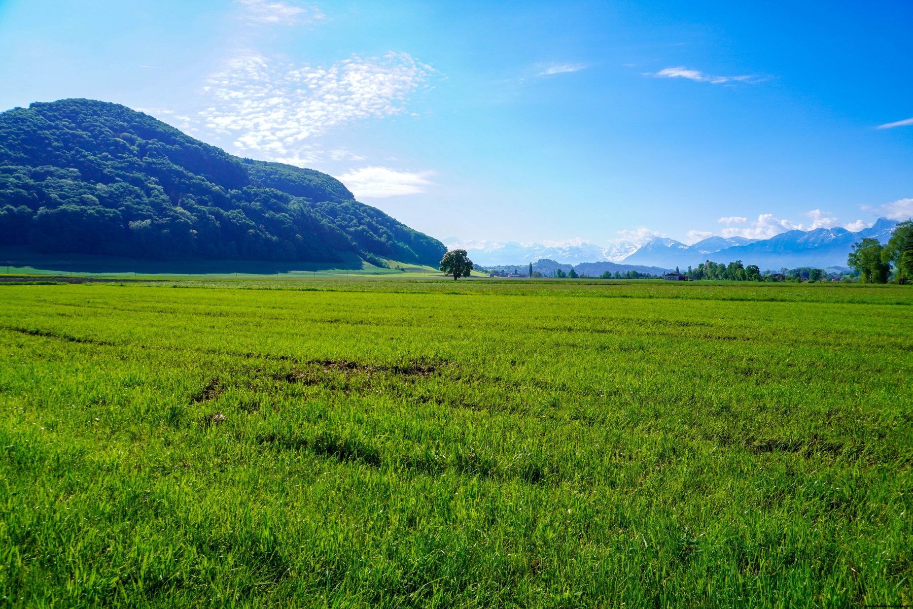 Par dessus le  Belpberg