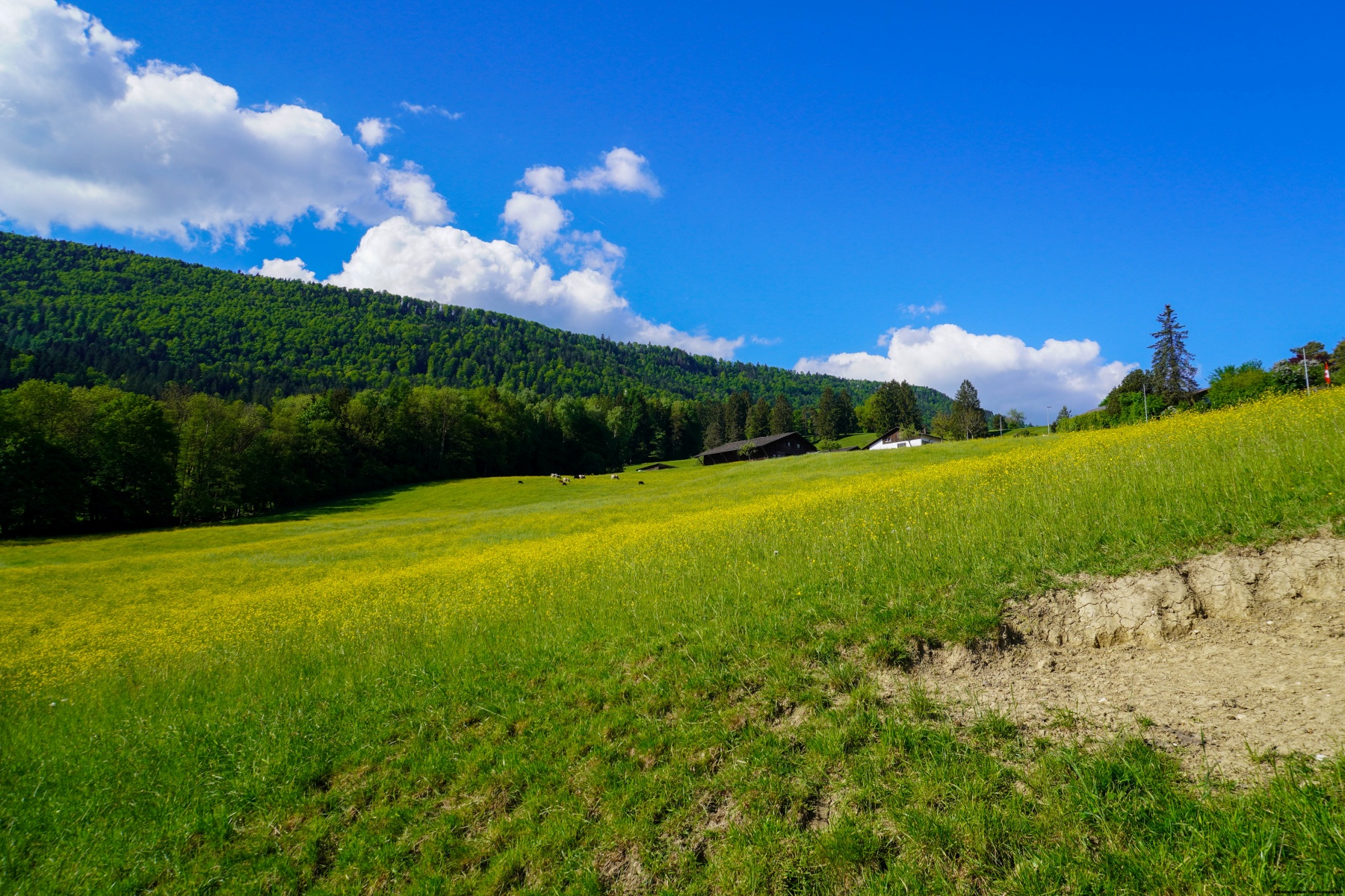 Von Sonceboz nach Magglingen