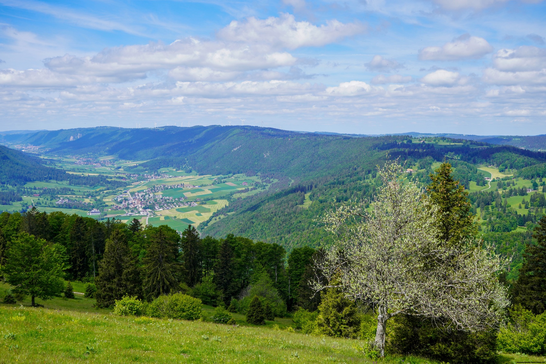 Der Pichoux Wasserfall