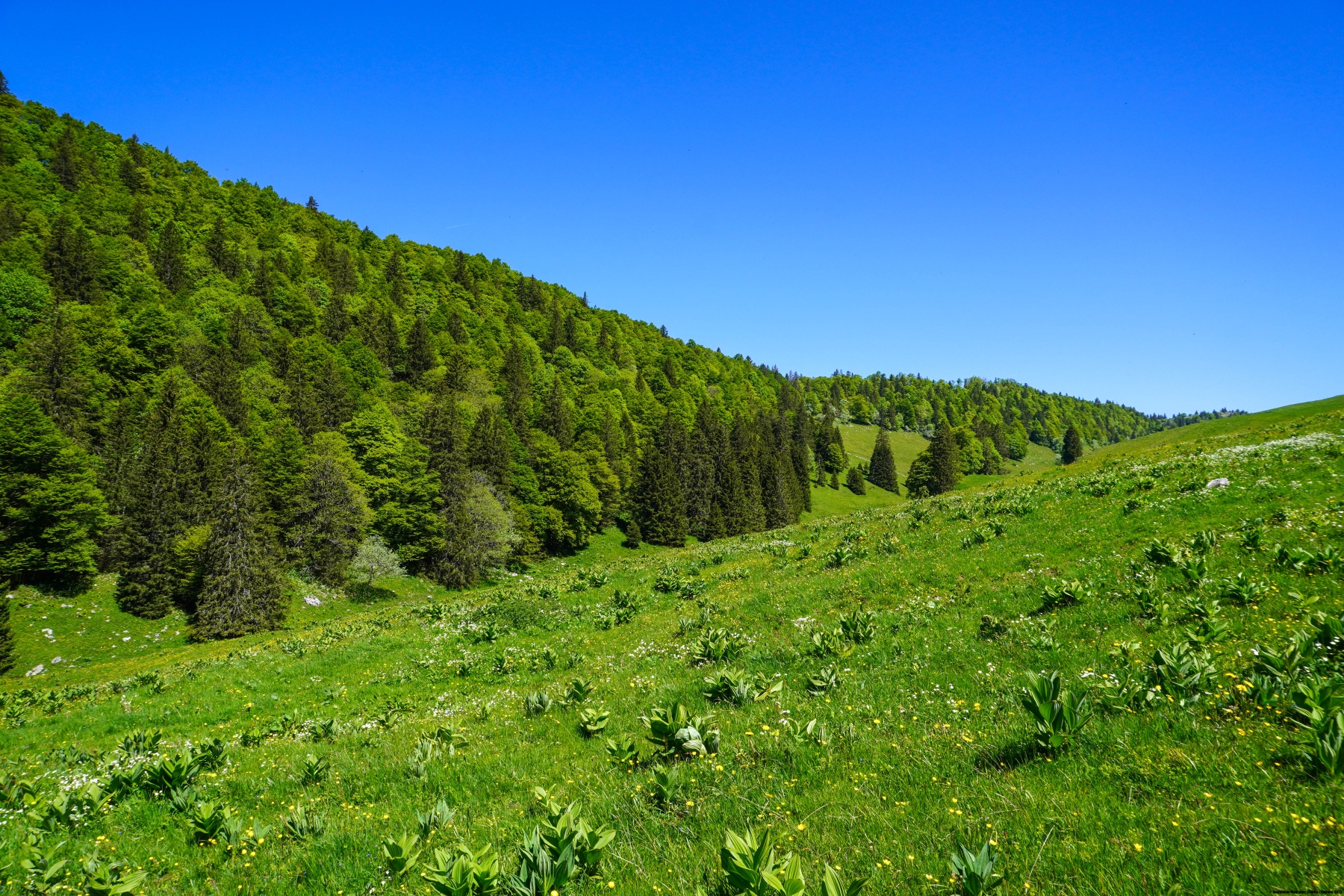 Deux combes pour le prix d’une