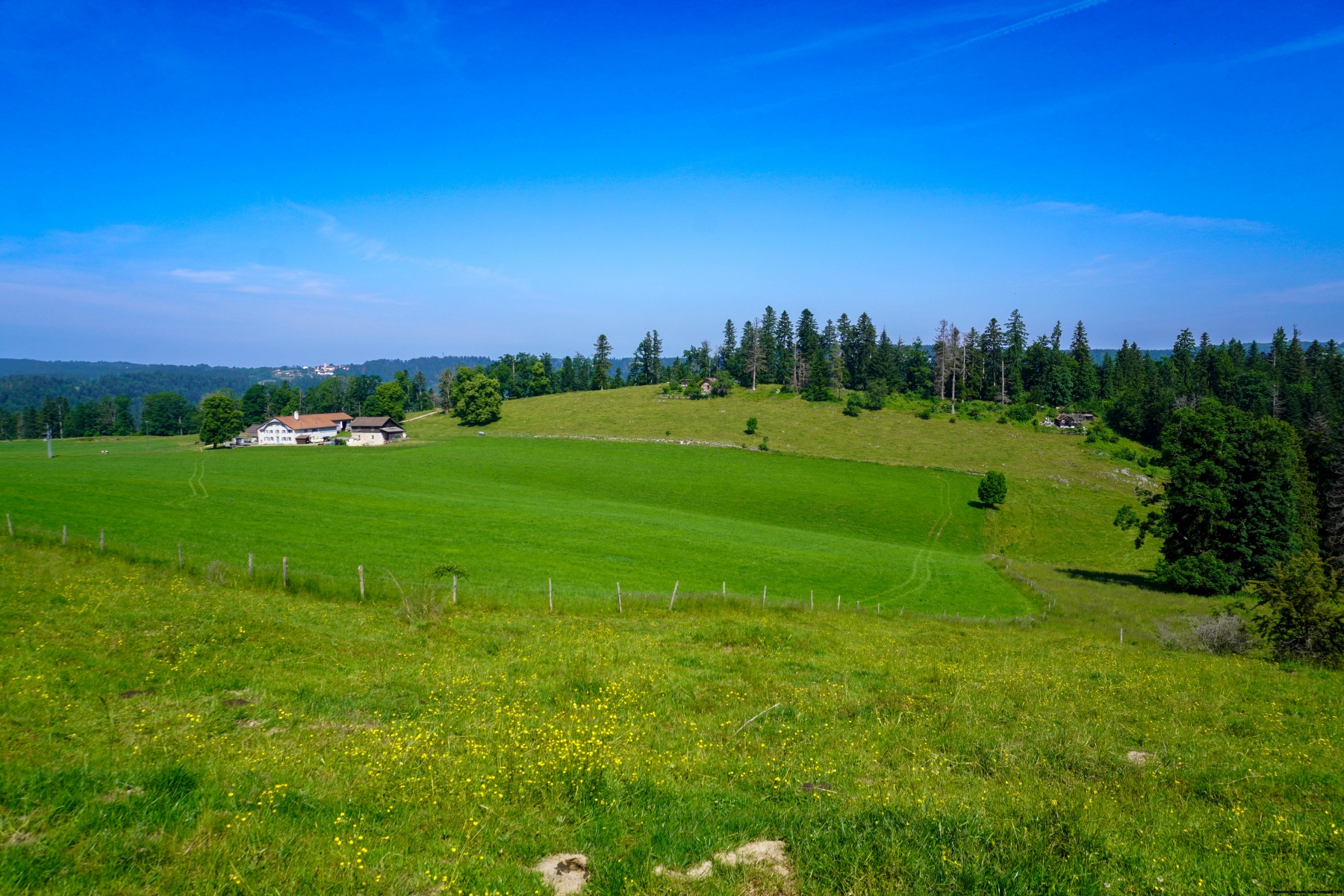 The Combe de Biaufond in spring