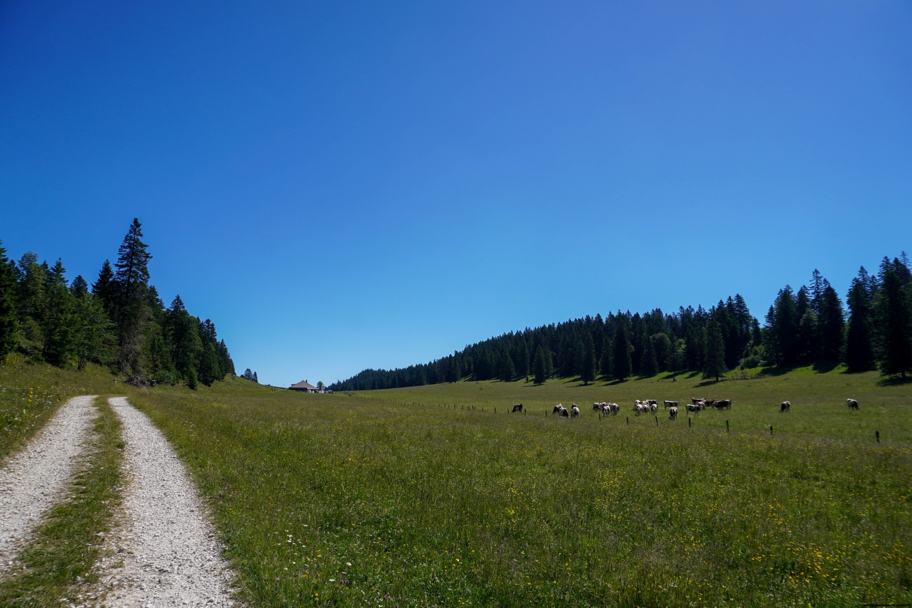 The crossing of Chasseron