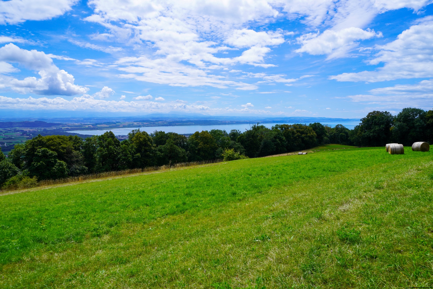Between Chaumont and Cressier