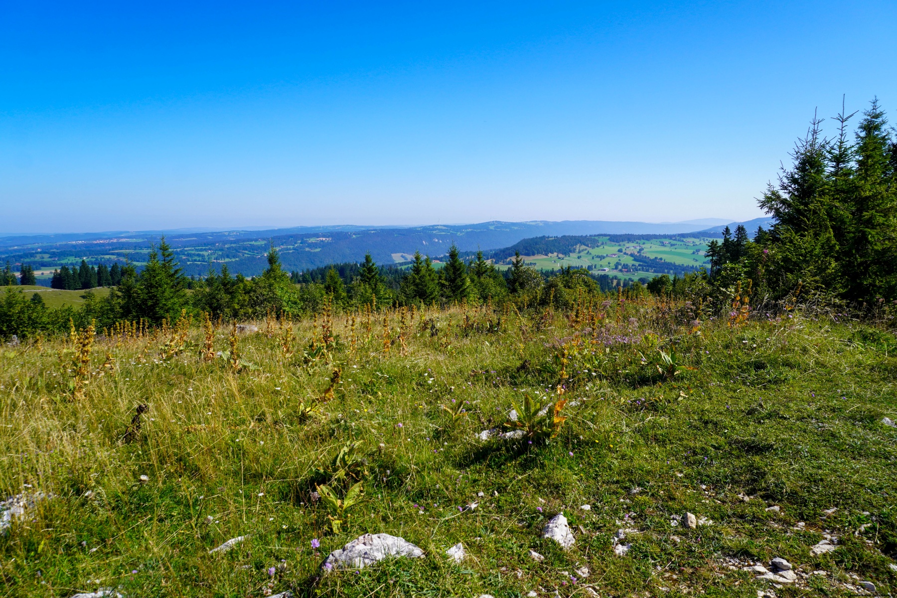 The Mont d’Amin once again