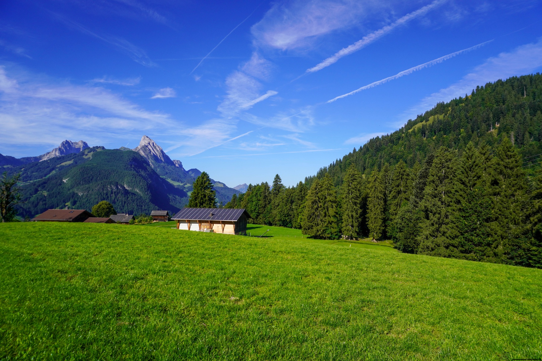 Entre Sarine et Simme