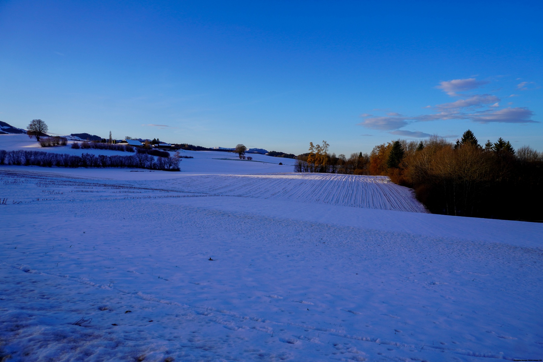 A travers la Singine